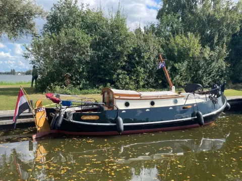 Grote Beer Vollenhovense Bol — HEEG